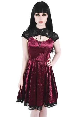 Astephana Lace Dress