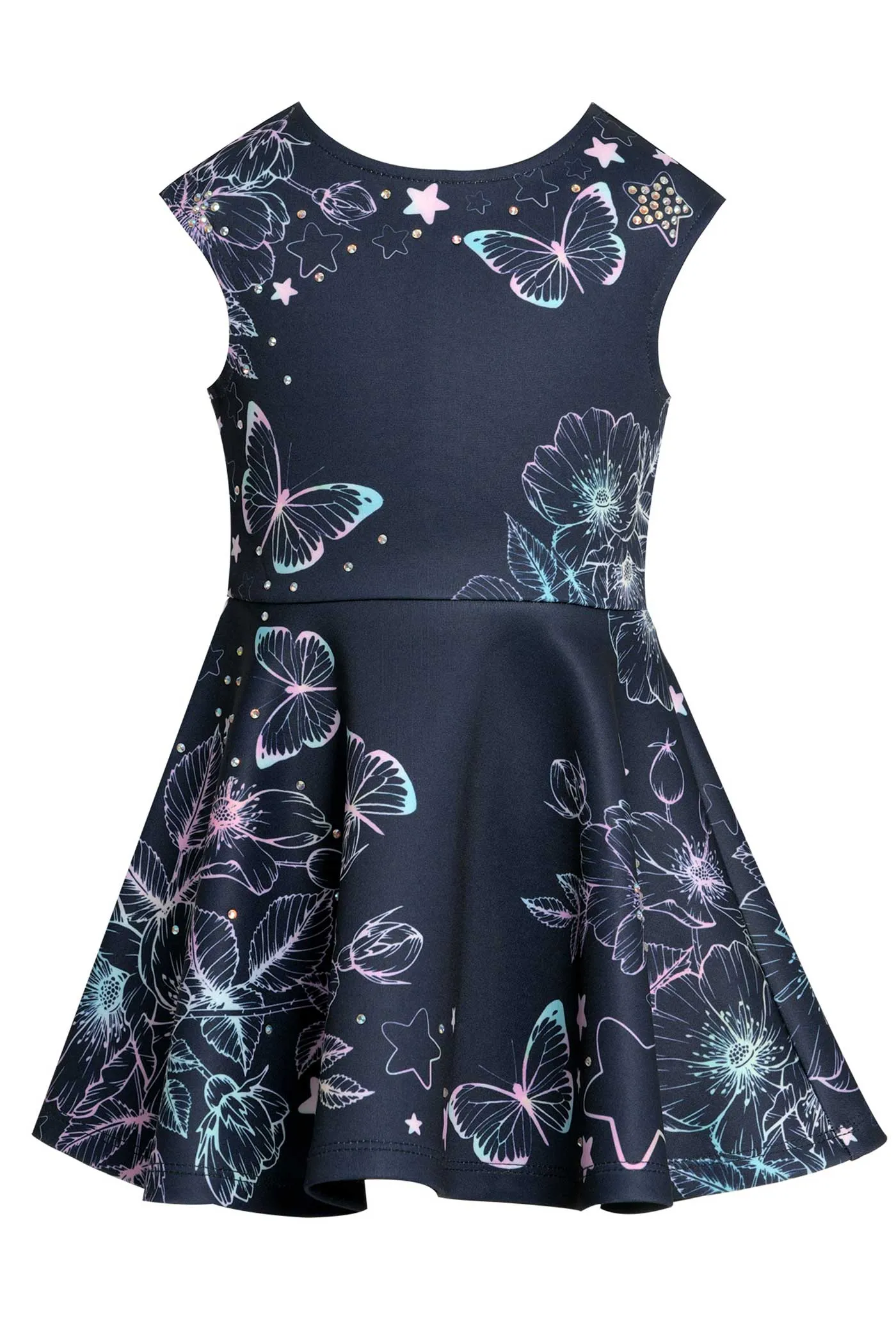 Little Girls Floral and Butterfly Fit and Flare Skater Dress